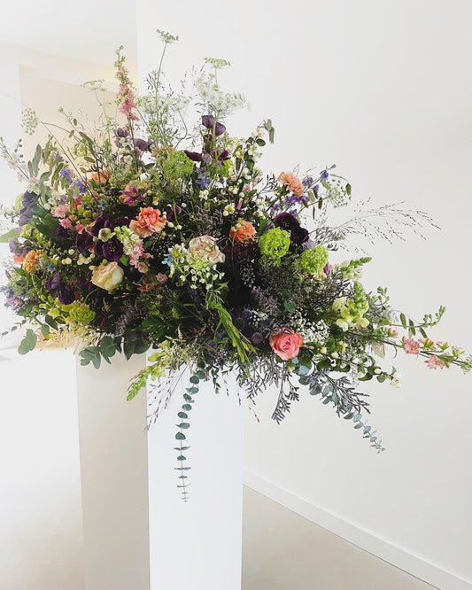 Veld Vol Bloemen