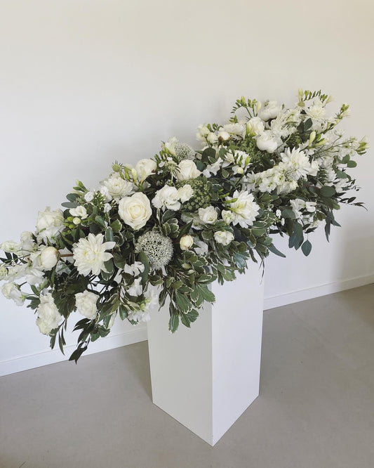 Witte Troost